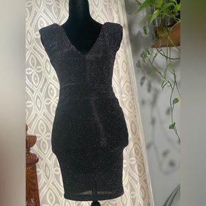 Classy Fancy Petite Sparkle Dress